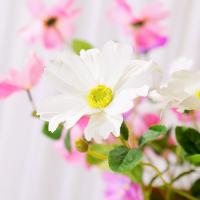 uploads/erp/collection/images/Home Garden/CongDing/XU0610501/img_b/XU0610501_img_b_3